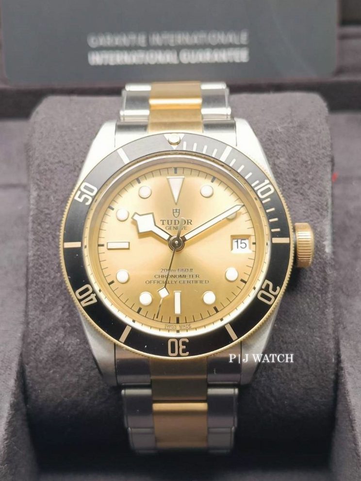 Tudor Heritage Black Bay S&G Champagne Dial Ref.M79733N-0004